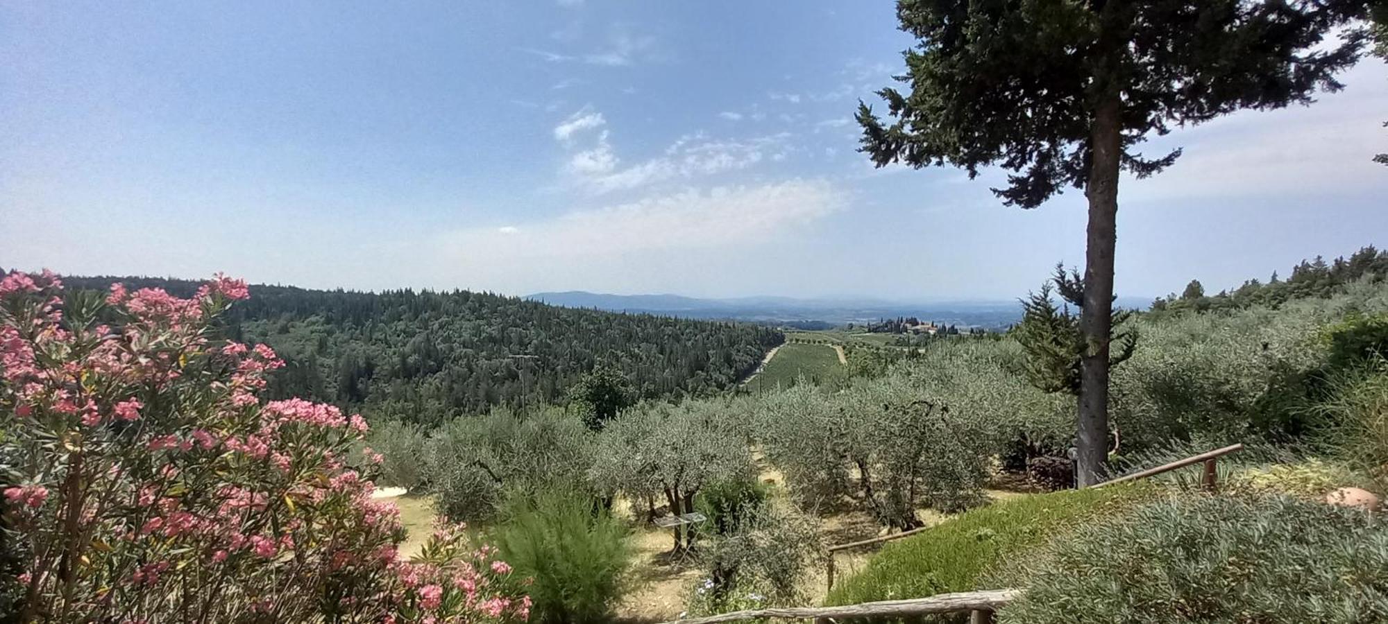 Borgo Nel Chianti Istrice Con Piscina Tennis E Wifi Кастелина ин Кианти Екстериор снимка