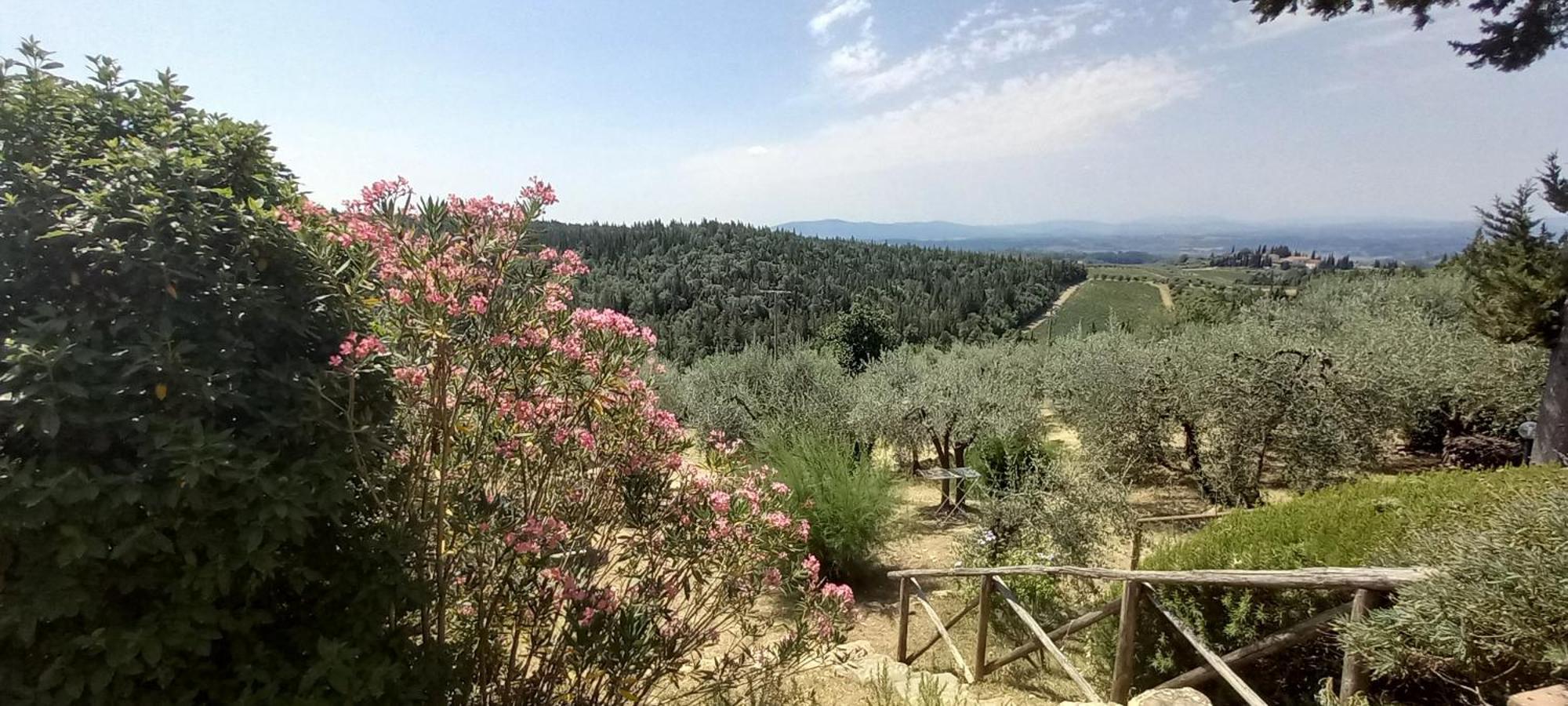 Borgo Nel Chianti Istrice Con Piscina Tennis E Wifi Кастелина ин Кианти Екстериор снимка